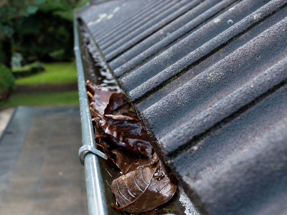 A close-up of a gutter filled with wet leaves